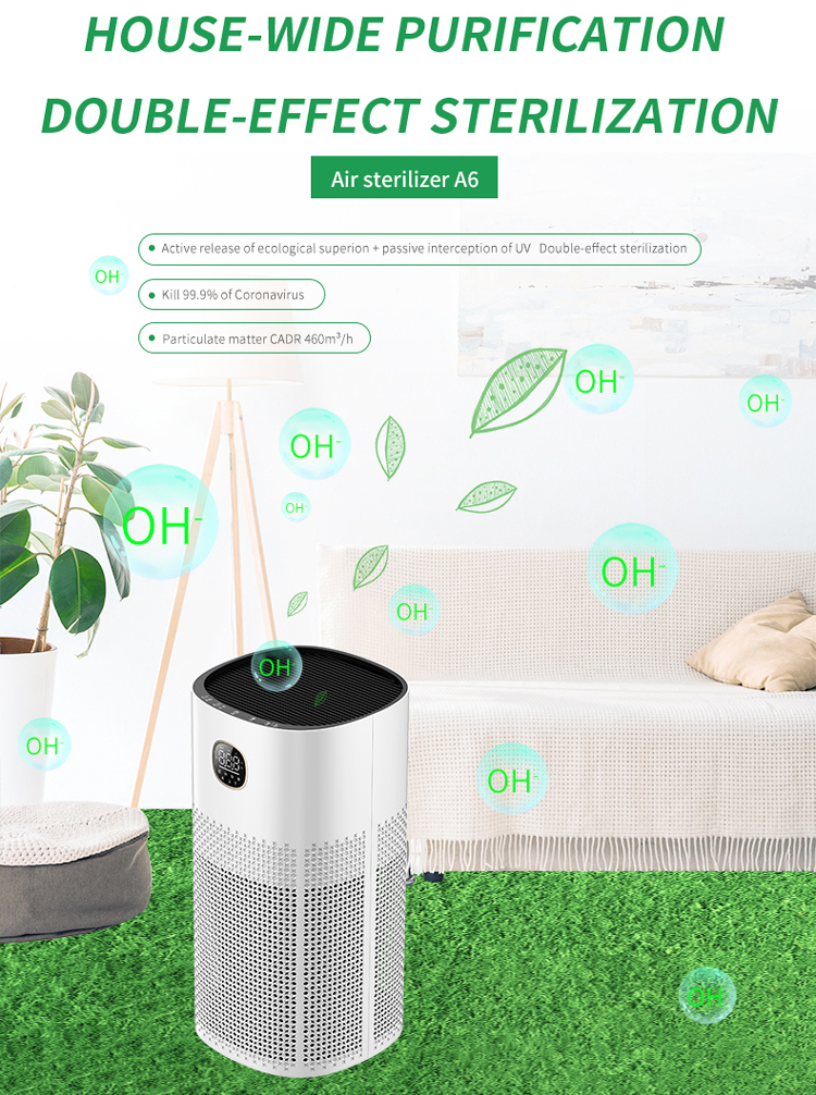 a6 air sterilizer 1