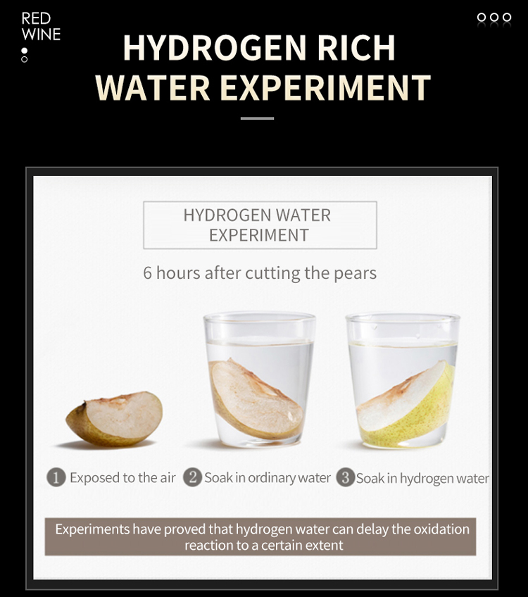hydrogen water bottle 7