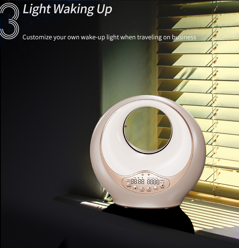 Anion Sleep Aid Instrument (11)