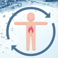 4 improving metabolism