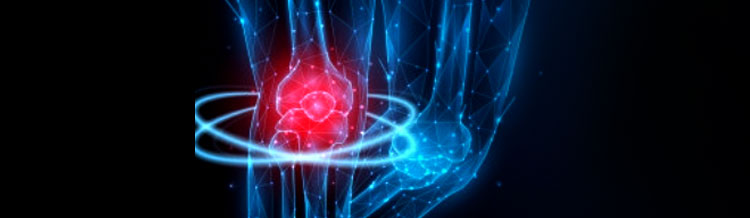 p5 terahertz magnetic 21 p5 terahertz magnetic 21